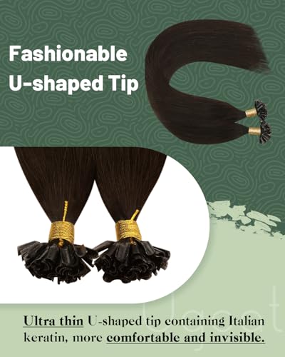 Ugeat U Tip Hair Extensions Real Human Hair Dark Brown 14 Inch U Tip Human Hair Extensions Keratin Darkest Brown for Women #2 50S 50G - Image 2