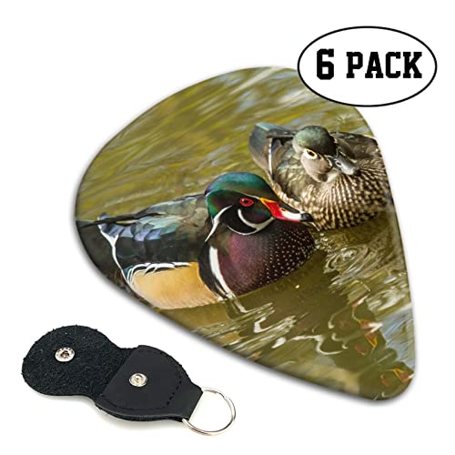 Domestic Duck Lot de 6 médiators pour guitare acoustique, guitare électrique, basse, ukulélé – fins, moyens et épais. - Les Beatles, Paul McCartney, John Lennon, RIngo Starr, George Harrison Domestic Duck Lot de 6 médiators pour guitare acoustique, guitare électrique, basse, ukulélé – fins, moyens et épais. – Image 3