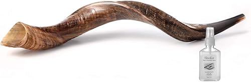 Miniatura 21 de Yaliland - Auténtico cuerno de Shofar yemenita de 28 a 30 pulgadas (medio pulido, mitad natural) por Yaliland con spray y guía antiolor