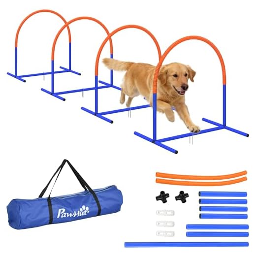 Portable Dog Agility Training Equipment