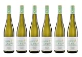 6x 0,75l - 2024er - Maria Schwan - Riesling - Qualitätswein Rheinhessen - Deutschland - Weißwein trocken