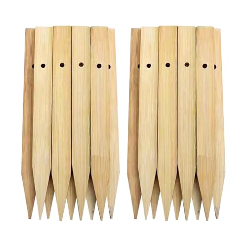 Lot de 20 piquets de jardin en bois de 20 cm, piquets de support pour plantes, piquets de sol robustes en bois, panneaux de légumes, piquets de clôture extérieure, piquets de bordure avec trous pour