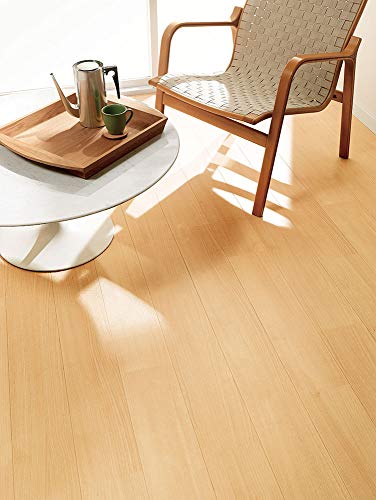  NbVtA CFV[g-H *1m CF9643