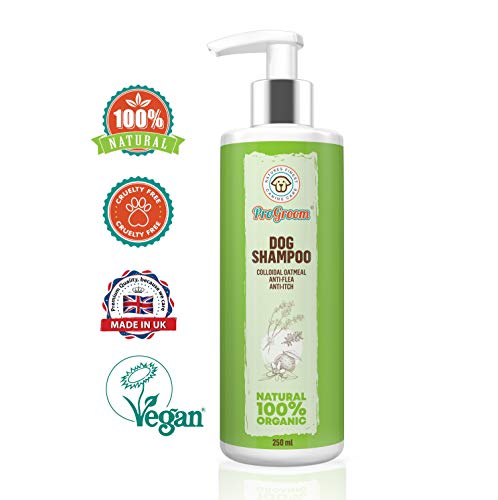 progroom dog shampoo