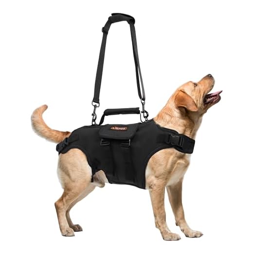 Dog Lift Harness, Full Body Dog Lift Harness, with Adjustable, Control Handle, Reflective Straps, for Senior Dogs, Post Surgery Recovery, Dogs with Joint Problems, (Oxford Cloth, L)