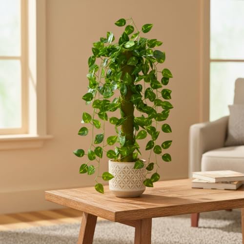 Image of fancymart Artificial Green Leaf Hanging Creeper on Moss Stick (Without Pot) - 60 cm Tall Hanging Creeper Plant for Indoor Home, Office, Restaurant & Cafe Decoration