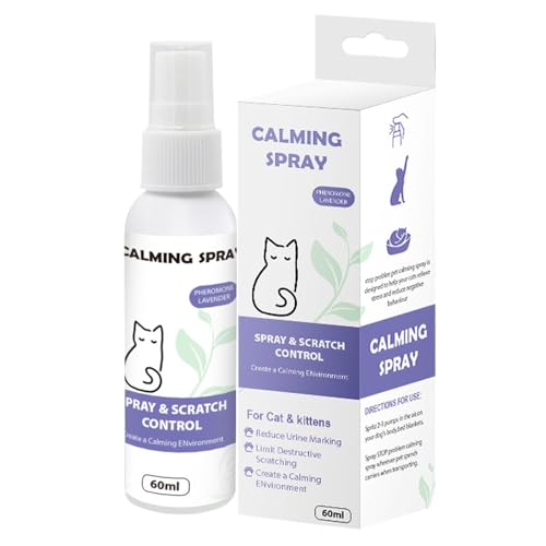 Dtharen L̒ÃXv[AL̒ÃTvgt,2.02 IX̎qL𗎂tF Xv[ - ^LpRXgXtFXv[