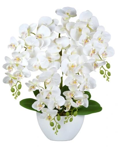 Orchidée en Silicone de qualité supérieure - Design Bateau - Durable et Facile d'entretien (Blanc)