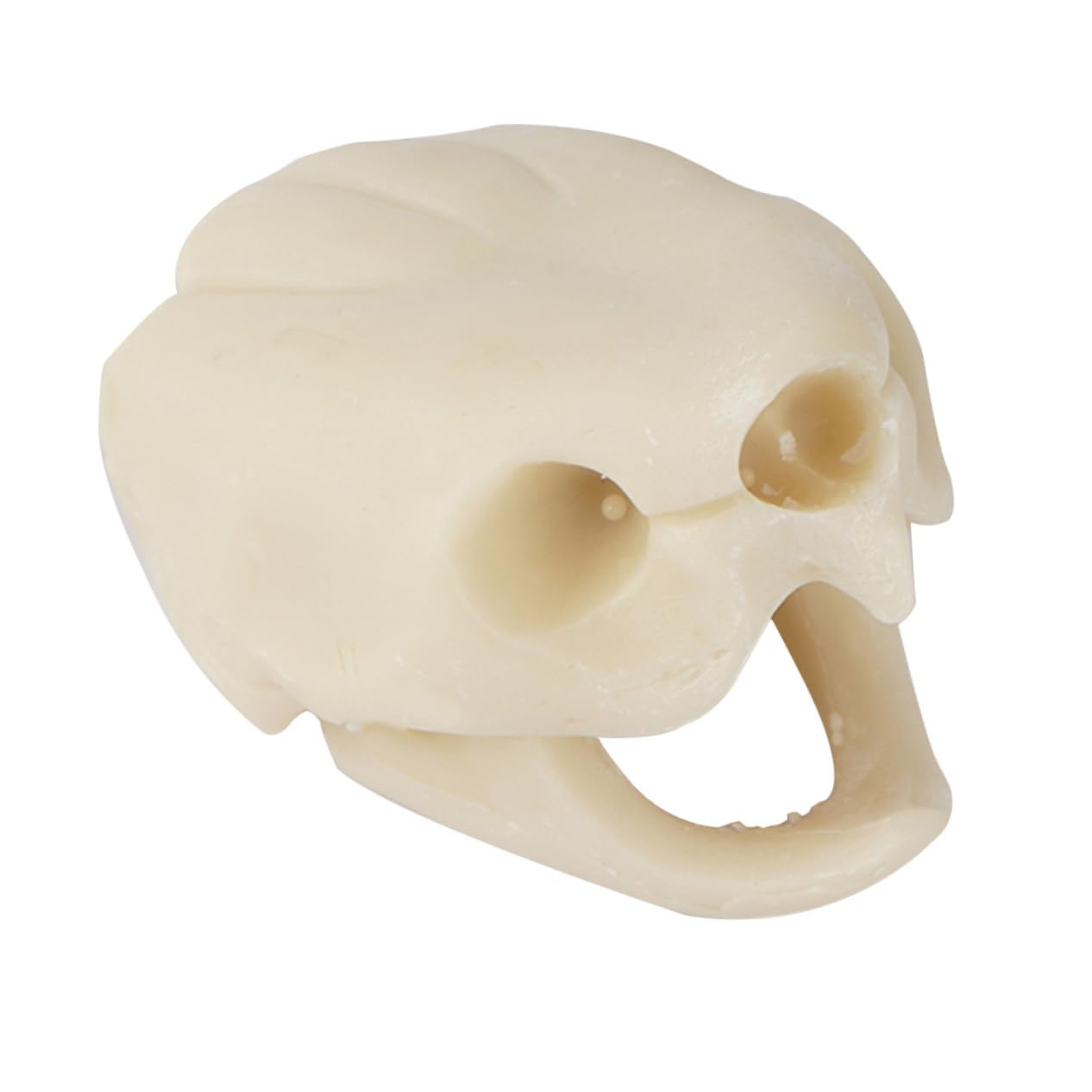 POPETPOP 1Pc Turtle Skull Ornaments mini skulls and bones shrimp mini skull heads Skeleton Fish Cave turtle statue rocks fish aquarium decoration Simulation Decor play white fish tank resin