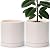 D'vine Dev Set of 2 Plants Pots, Ceramic Planter Pot for Plants with Drainage Hole and Saucer, 94-V