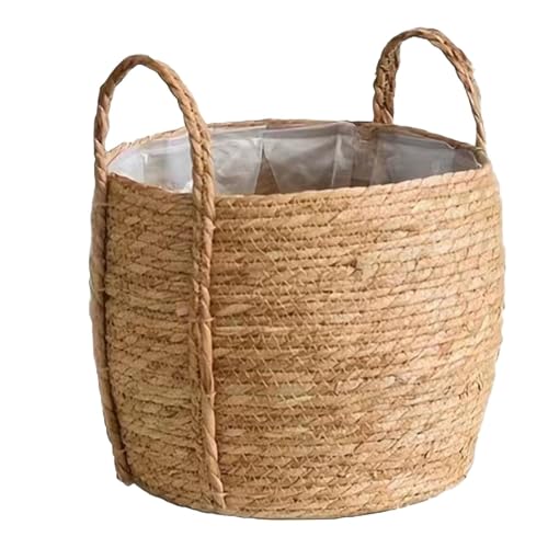 Ailan Cesta para Plantas de césped Natural | Fácil de Limpiar y Plantar Directamente | Maceta versátil para Cubrir macetas de Interior de Fibra Grande, s