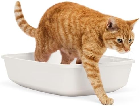 So Phresh Caja de arena marrón abierta para gatos, 19.25 pulgadas de largo x 13 pulgadas de ancho x 5 pulgadas de alto