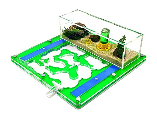 ANTHILLSHOP Hormiguero 20 x 20 Espuma acrílico Verde (con Hormigas Gratis, de 20 a 30 obreras) Cover