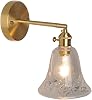 Bracket Light Wall Light Wall Lighting Wall Mount Lamp Vintage Wall Scone Adjustable Glass Lamp Shade Wall Light with Switch Indoor Wall Scone Lighting for Bedroom Bedside Dining Room Living Room