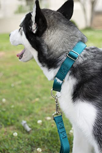 Country Brook Petz - Teal Martingale Heavy Duty Nylon Dog Collar - 21 Vibrant Color Options (1 Inch Width, Medium) #TOP1