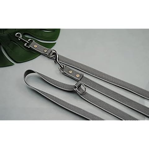 EXTRA Lange Leine gummiert 4-Fach verstellbar 3m x 25mm Silber Cover