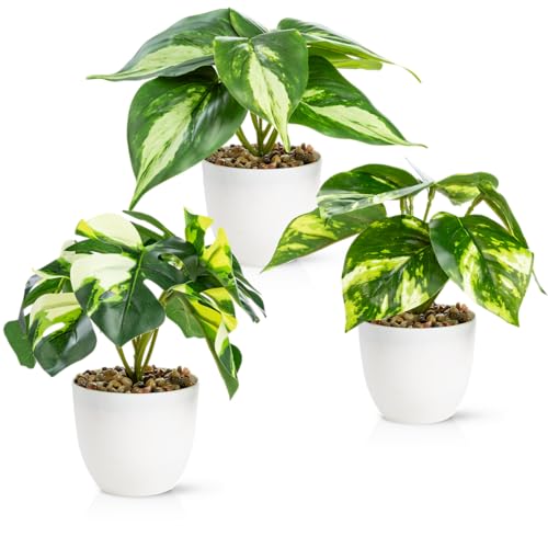 PASCH® 3er Set Kunstpflanzen wie echt (18cm) in bruchfesten Melamintöpfen | Kunstpflanzen im Topf | Künstliche Pflanzen im Topf | Kunstblumen Fake Plant