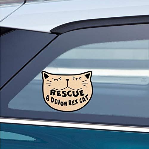 Makoroni - Rescue A Devon REX CAT Cat Car Laptop Wall Sticker Decal - 6