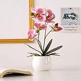 Mit Übertopf: Die künstliche Pflanze befindet sich in einem eleganten Shabby Chic Keramik-Übertopf.