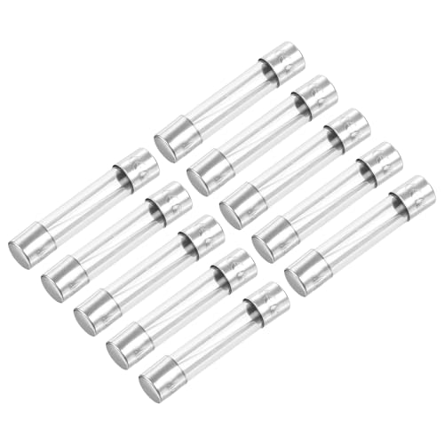QUARKZMAN Fusibili a Cartuccia in Vetro da 250V 15A 6 x 30mm x 10 Pezzi, Rapida Azione per La Protezione del Circuiti, [Tono Argento]