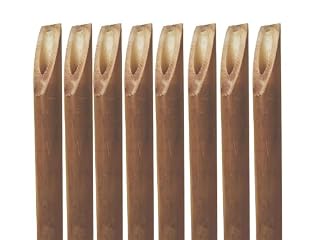 Maillestore tuteurs bambou 200 cm, lot de 10 piquets