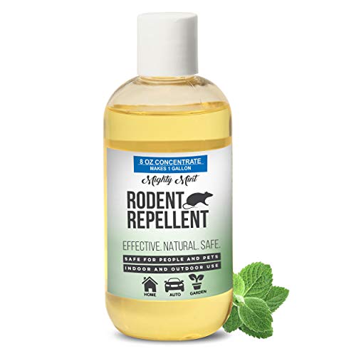 Mighty Mint 8 oz Peppermint Rodent Repellent Concentrate - Makes 1 Gallon - Natural Spray for Rats, Mice, and More - Non Toxic