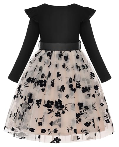 JerrisApparel Toddler Girls Long Sleeve Cotton Dress Tulle Tutu Skirt Fall Winter Party Dress Outfits2