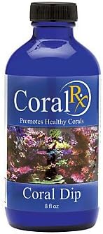 Thrive Coral Rx Coral Dip