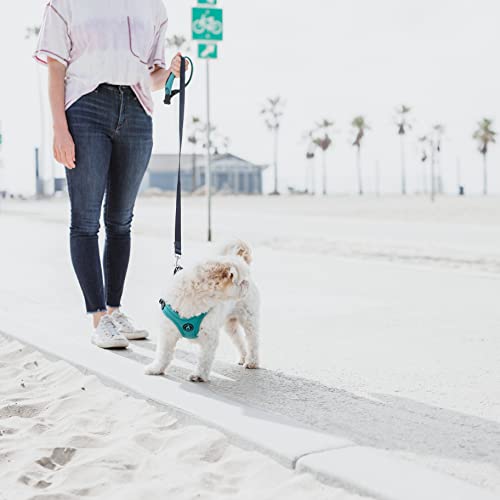 Image of Gooby Escape Free Sport Leash, Lime, 4 FT | Neoprene, all-weather; 4 ft; Detachable handle with quick-release buckle; Machine washable; Matches Sport Harness