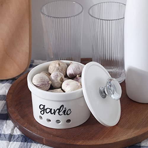 Garlic Keeper With Crystal Lid, 12.5 Oz Ceramic Garlic Saver Container For Countertop, Farmhouse Kitchen Decor (Silver) #TOP1