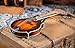Washburn M3SEBRK F style Mandolin Brown Burst with Gig Bag