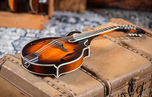 Washburn M3SEBRK F style Mandolin Brown Burst with Gig Bag by Washburn - Image 6