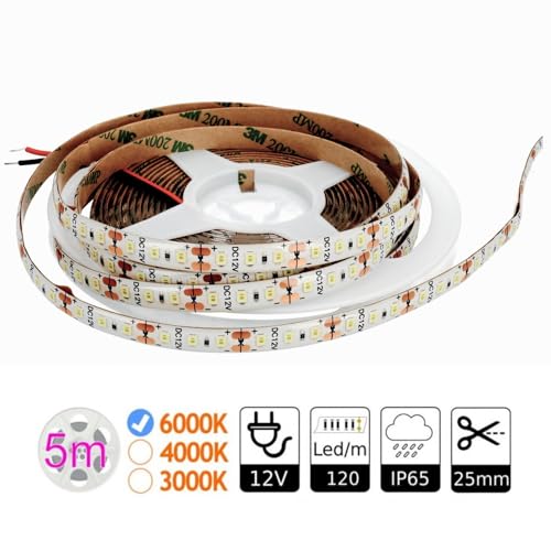 JANDEI - Strisce Led 5 metri 12V per Esterni IP65