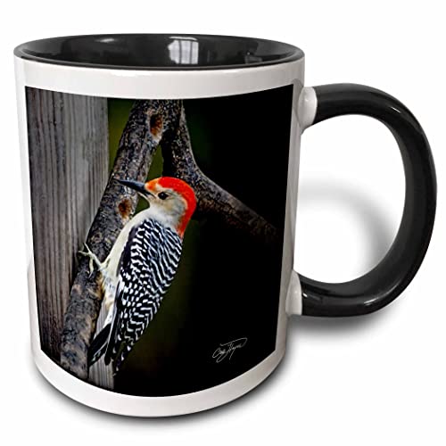 3dRose Red Belly Woodpecker Original Art Home 11oz Two-Tone Black Mug