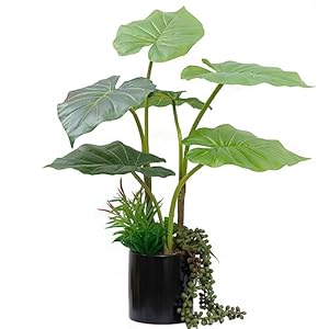 Fake Plants Realistic Artificial Potted Faux Plants Indoor 19.7” Tall Faux Greenery Plant & Mini Artificial Succulent Plant in Ceramic Vase Vivid Plastic Plant for Living Room Home Office Decor