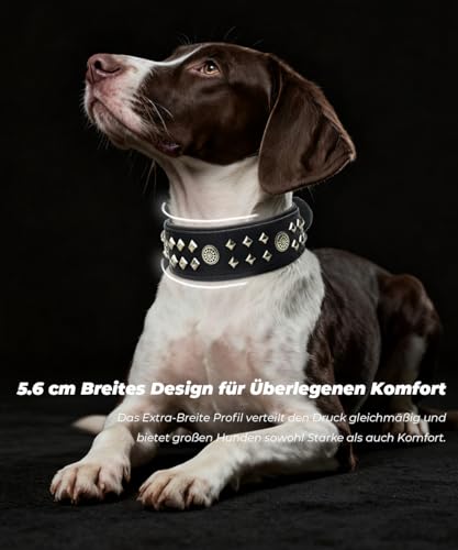 EliteGuard Hundehalsband Leder, 5,6 cm Breit, Handgefertigt Mit Nieten Und Edelstahlschnalle, Für Den Täglichen Gebrauch Bei Großen Hunden, Schwarz M