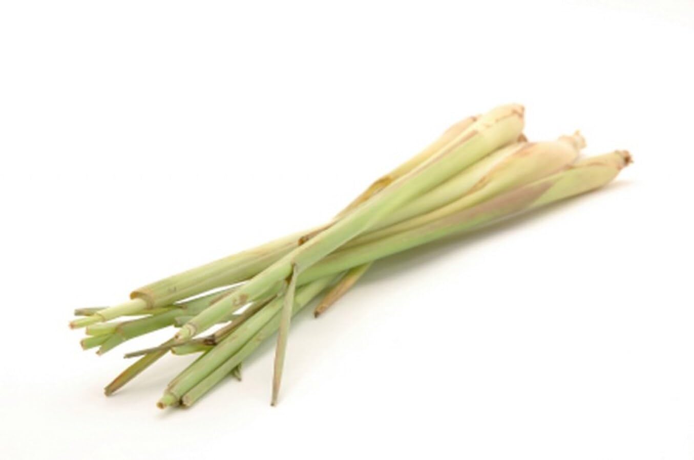 Fresh Lemongrass, 3 Pack of 1 lb Bags, Chef-Quality, Aromatic Herb for Culinary Use