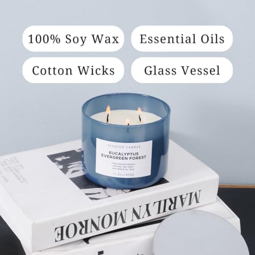 T&H EEF3W01 Eucalyptus Evergreen Forest Luxury 3 Wick Winter Pine Candle thumb #2