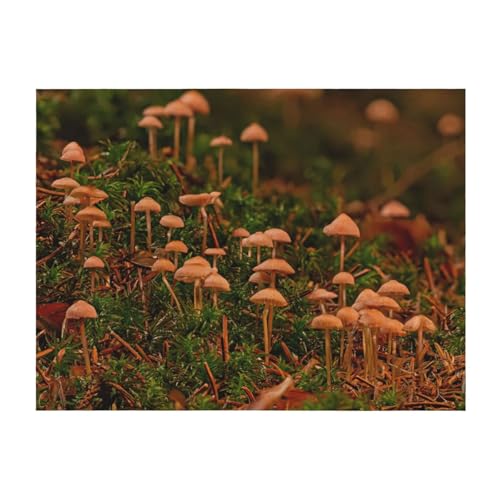 Couverture légère champignons pour vos soirées cocooning sur le canapé - 2
