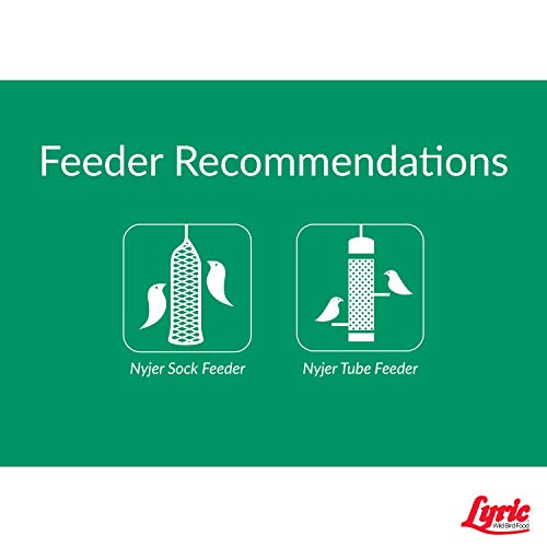 Lebanon Seaboard Seed Corp 26-47273 Nyjer Seed, 3 Lb. #TOP2