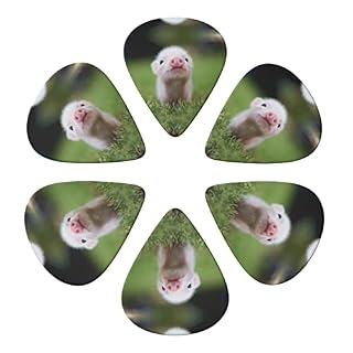 Ensemble de 6 médiators de guitare Baby Pig pour guitare acoustique, guitare électrique, basse, ukulélé – fin, moyen et… - Les Beatles, Paul McCartney, John Lennon, RIngo Starr, George Harrison Ensemble de 6 médiators de guitare Baby Pig pour guitare acoustique, guitare électrique, basse, ukulélé - fin, moyen et… – Image 4