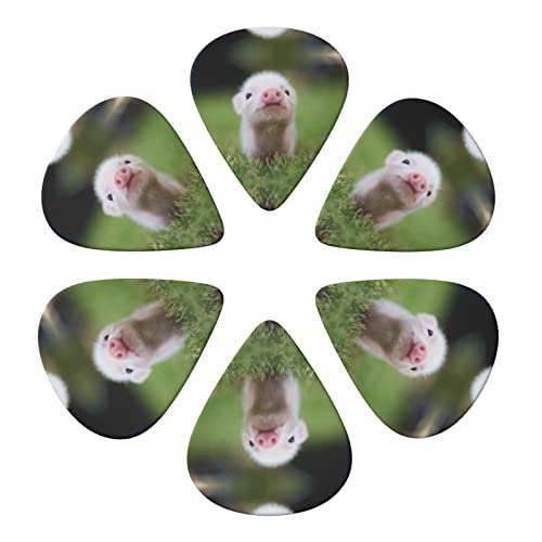 Ensemble de 6 médiators de guitare Baby Pig pour guitare acoustique, guitare électrique, basse, ukulélé – fin, moyen et… - Les Beatles, Paul McCartney, John Lennon, RIngo Starr, George Harrison Ensemble de 6 médiators de guitare Baby Pig pour guitare acoustique, guitare électrique, basse, ukulélé - fin, moyen et… – Image 5