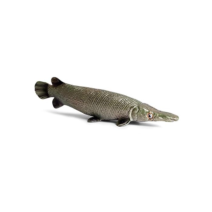 Buy Hibon Alligator Gar Fish Figurine Simulated Alligator Gar Realistic