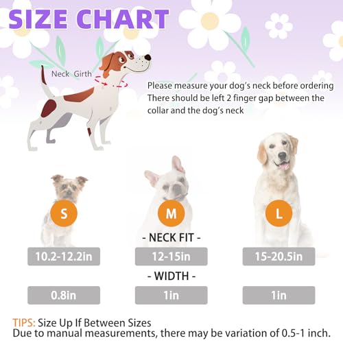 Image of Martingale Collar for Dogs for Small Medium Large Dogs, Soft Padded Nylon No Pull Dog Collar with Buckle, Adjustable No Slip Heavy Duty Durable Puppy Training Collar for Boys Girls, Purple M