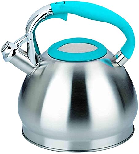 Teiera Fischietto per uso domestico Stufa ad acqua calda Moda in acciaio inossidabile 304 con manico in nylon antiscottatura Fornello a induzione Bollitore(Color:Green)