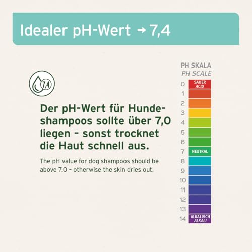 AniForte Fellharmonie Hundeshampoo Sensitiv mit Aloe Vera 200ml – Für leicht kämmbares Fell & Vitale Haut, Pflegeshampoo für Sensible Hunde, frei von Farbstoffen & Parfum