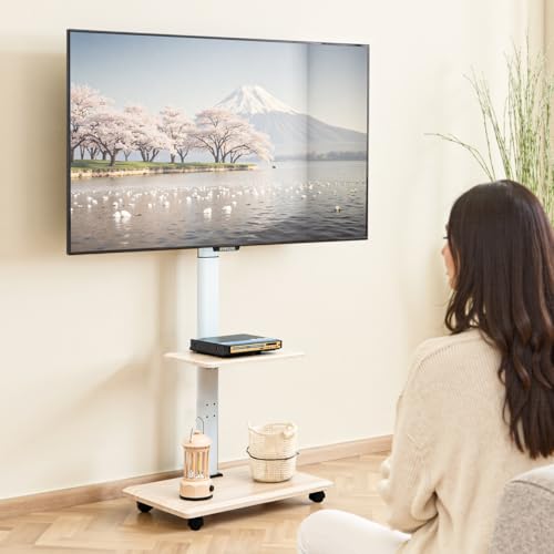 Amazon.co.jp: Qucover テレビスタンド tvスタンド 26~65インチ対応 壁