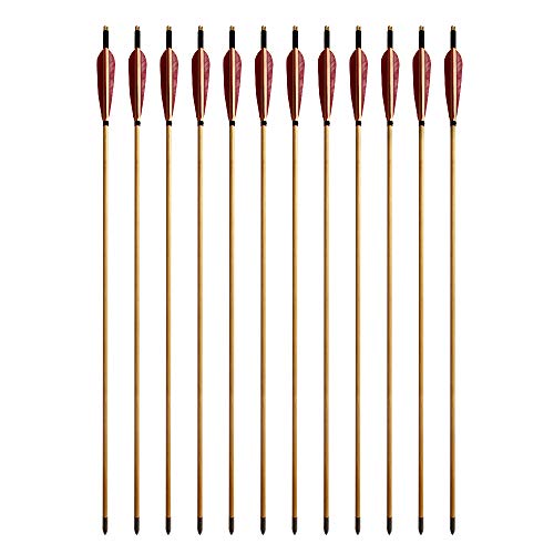 E5E10 33Inch Wooden Arrows Handmade Archery Target Arrows With Field Points For Recurve Bow Longbow Hunting Practice With Turkey Feather Fletching 12Pack (Red) #TOP1