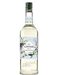 GIFFARD - White Cane Sugar Syrup - French Recipe - Naturally Sweetened - 1 Litre, 0.0% vol, 100cl