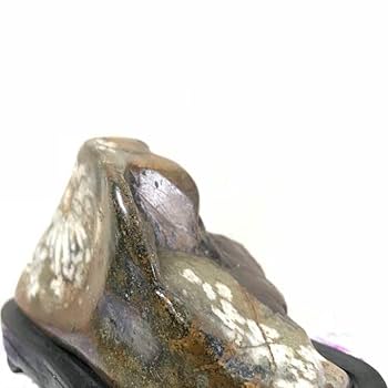 Amazon.co.jp: 菊花石 岐阜根尾産 536グラム 台座付き : 文房具